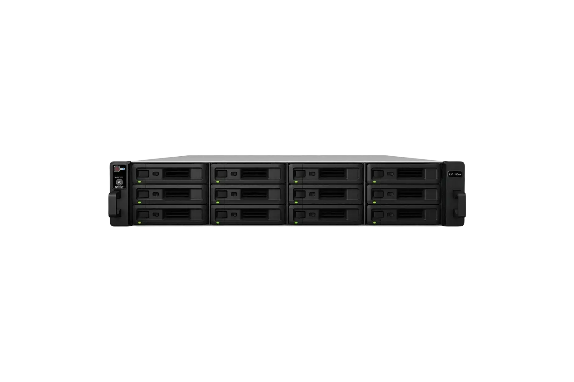 Synology RXD1215sas