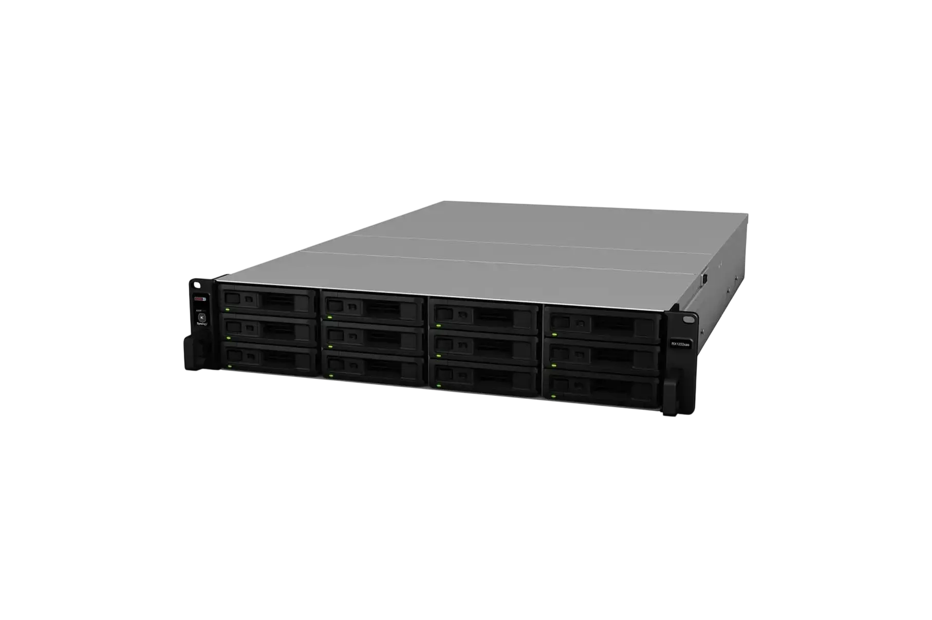 Synology RX1222sas