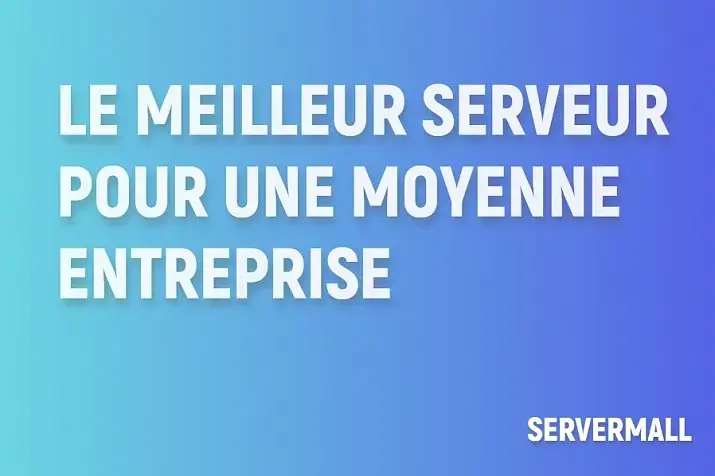 Le Meilleur Serveur pour une Moyenne Entreprise