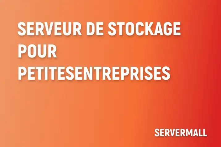 Serveur de Stockage pour Petites Entreprises